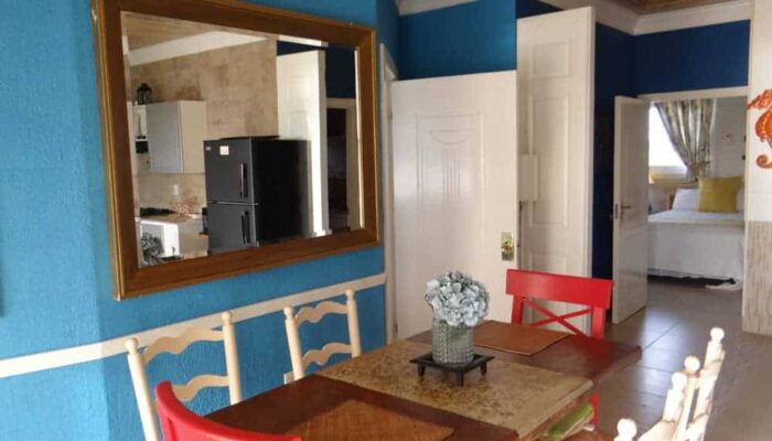 Turtle House Gallery