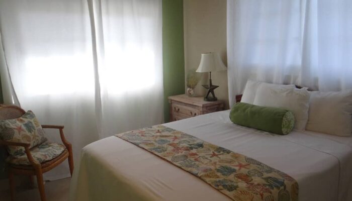 Turtle House Gallery