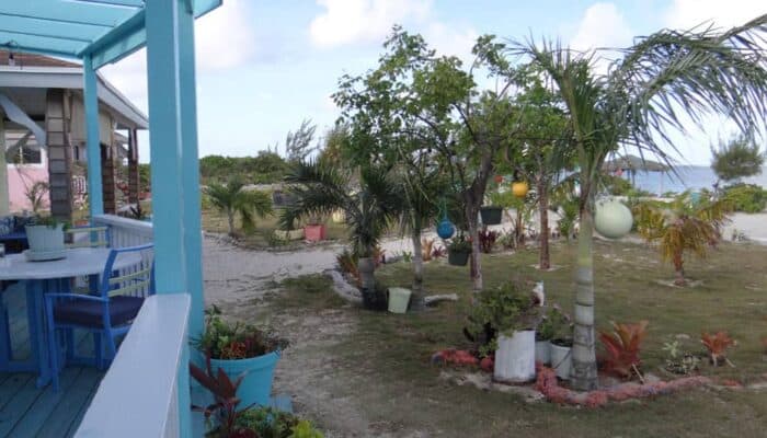 Turtle House Gallery