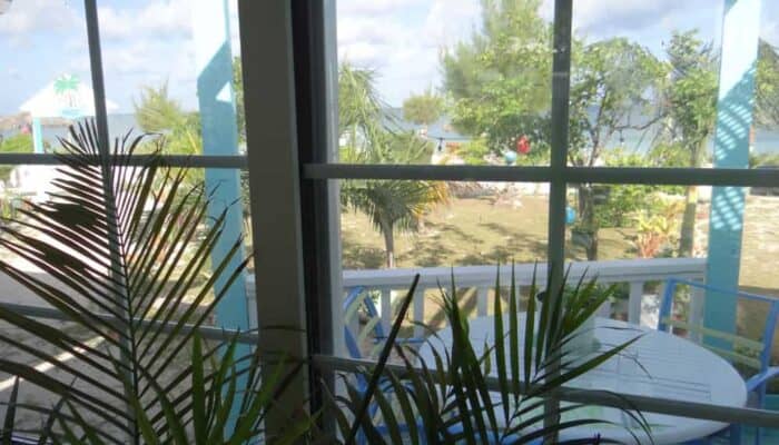 Turtle House Gallery