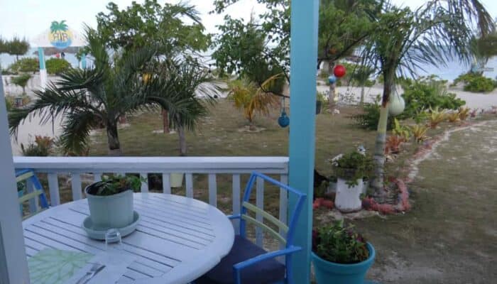 Turtle House Gallery