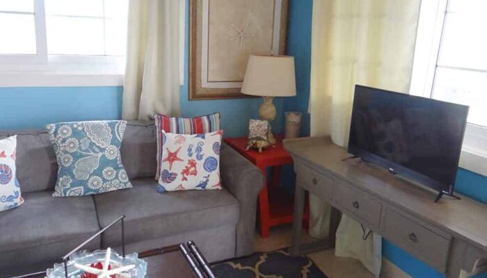 Turtle House Gallery