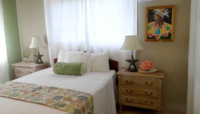 Turtle House Gallery