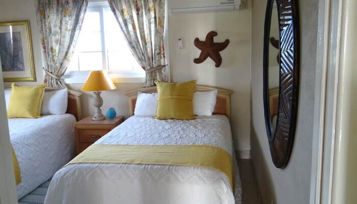 Turtle House Gallery