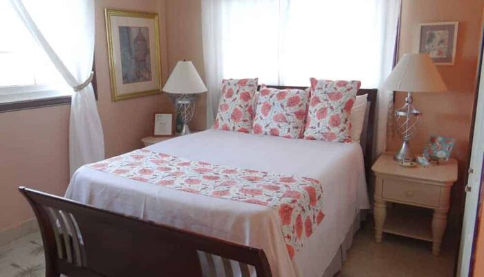 Turtle House Gallery