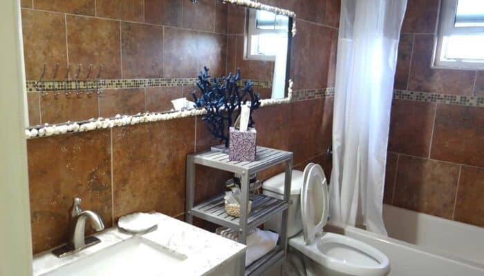 Turtle House Gallery