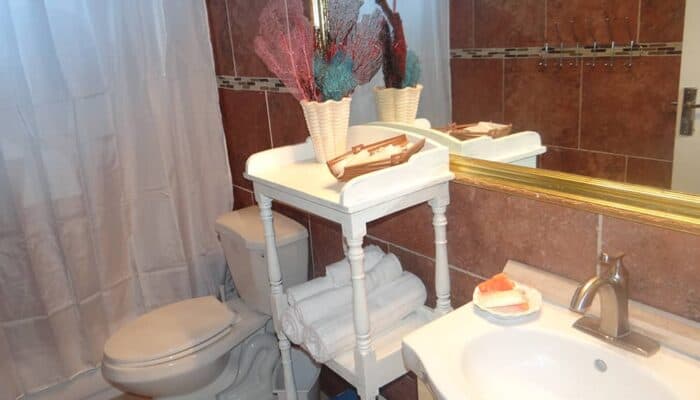 Turtle House Gallery